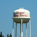 Norwood Young Photo 5
