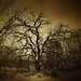 Milton Winters Photo 4