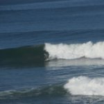 Christopher Daly Photo 6