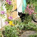 Sherry May Photo 23