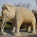 Way Chang Photo 17