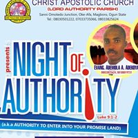 Ademola Sola Photo 6