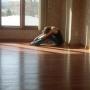 Linda Erickson Photo 44