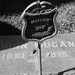 Thomas Burks Photo 22