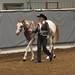 Robin Furnas Photo 7