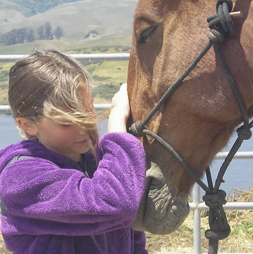 Maryann Webber Photo 6