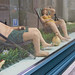 Catherine Hunter Photo 14