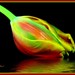 Gail Fine Photo 20