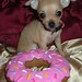 Merle Simpson Photo 10