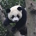 Zhi Li Photo 9