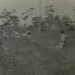 Homer Williams Photo 24