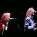 Allison Krause Photo 21