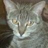 Jean Springer Photo 9