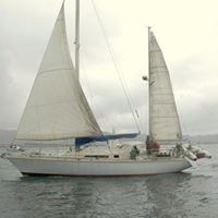 Marc Susman Photo 2