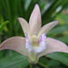 Ellen Flowers Photo 12