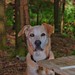 Debbie Rauch Photo 21