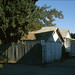 John Olivo Photo 37