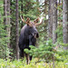 Matthew Bull Photo 27