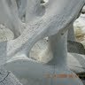Anne Jones Photo 18