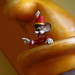Timothy Disney Photo 9