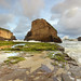 Santa Cruz Photo 36