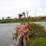 Dan Sweat Photo 17