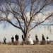 Julie Dunlap Photo 32