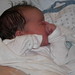 Elizabeth Newell Photo 20