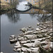 Dale Kirby Photo 20