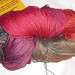 Susan Schafer Photo 40