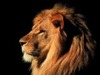 James Jennings Photo 11