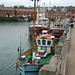 Victoria Wilkinson Photo 13