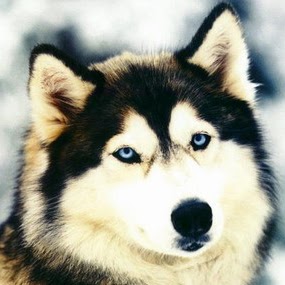 Jack Franks Photo 12