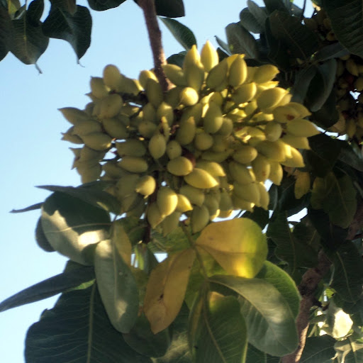 Cathy Moon Photo 39