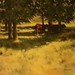 Charles Harrington Photo 19