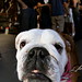 Isaac Helms Photo 10