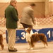 Lynn Moorehead Photo 9