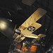Robert Pfeil Photo 12