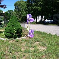 Victoria Walker Photo 30