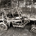 Bonnie Mclellan Photo 15
