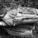 Alexander Cartwright Photo 10