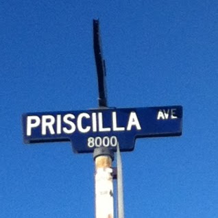 Priscilla Gardner Photo 14