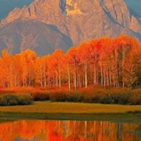 Marilyn Bellis Photo 8