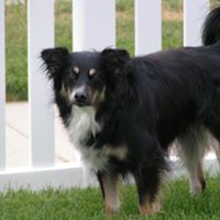 Don Kessler Photo 11