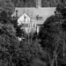 Stephen Crane Photo 20