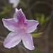 Patsy Avery Photo 4