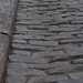 Savannah Stone Photo 13