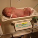 Alexander Erickson Photo 14
