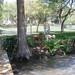 Judy Murphy Photo 12