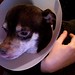 Jack Cone Photo 9